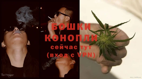 дживик Балахна