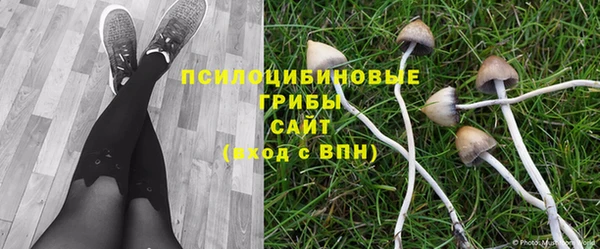 дживик Балахна