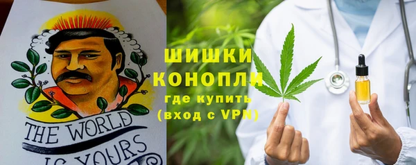 дживик Балахна